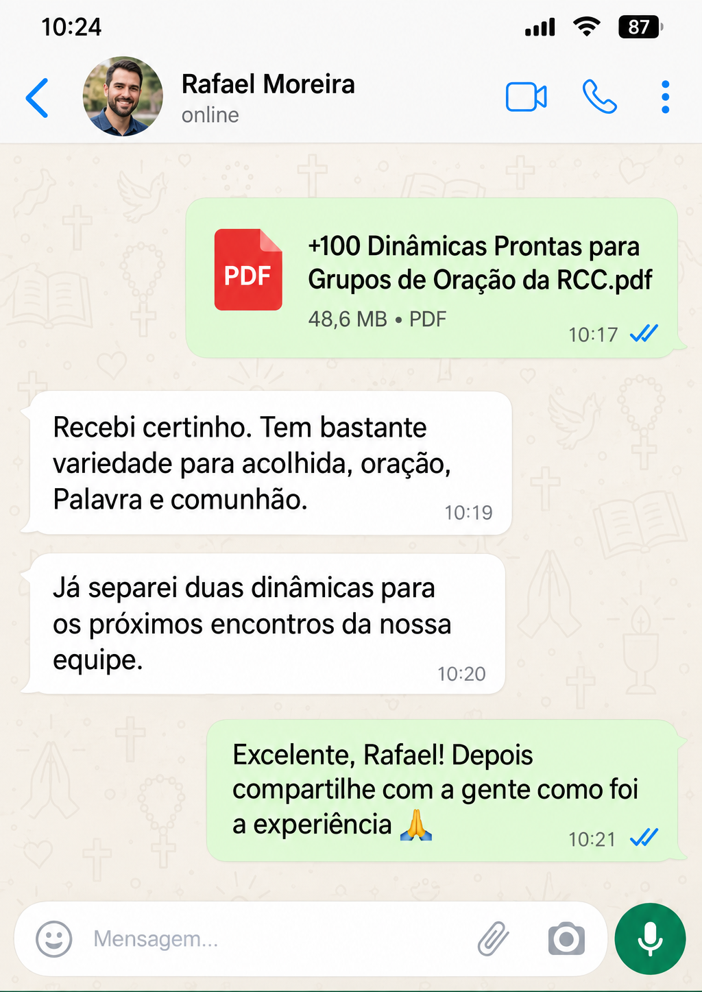 Conversa com Rafael após receber o material
